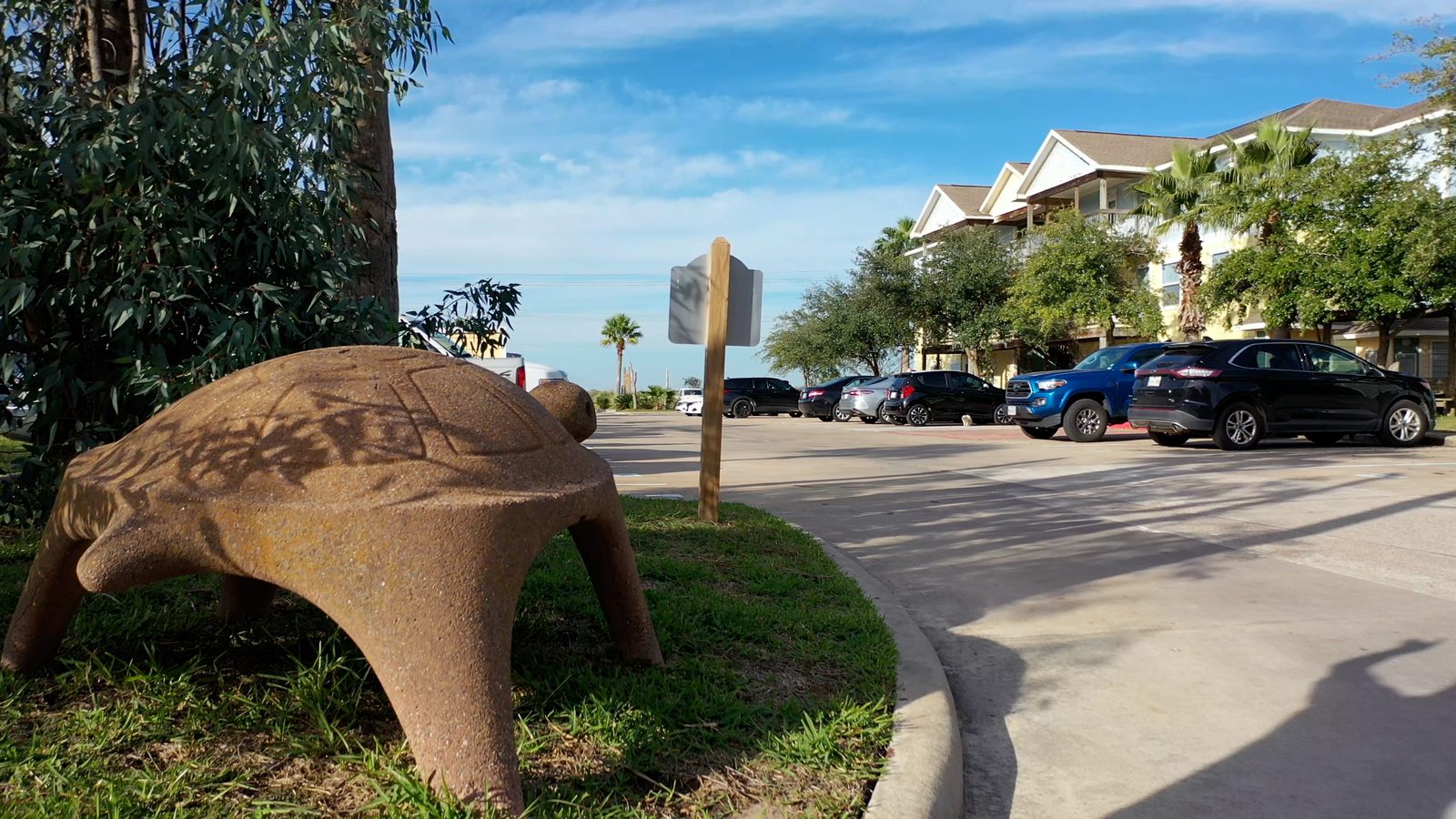 Turtle sculpture along the UAG property drive