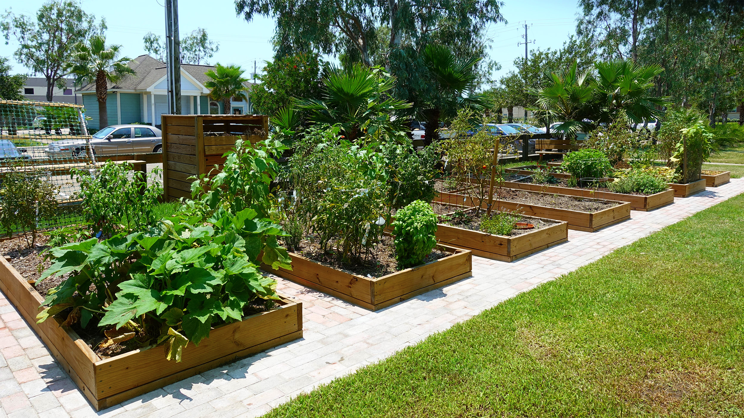 Raised garden beds in the UAG community garden